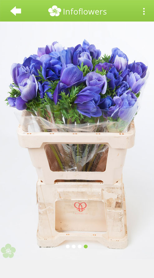 Device Content Image