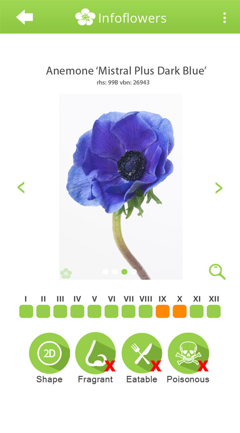 Device Content Image